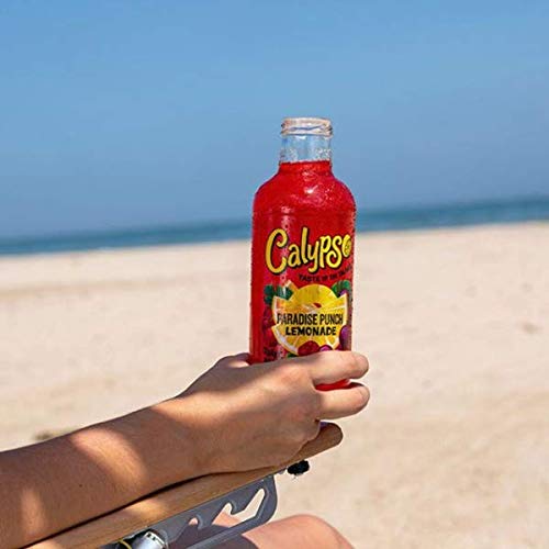 Calypso Lemonades | Made with Real Fruit and Natural Flavors | Original Lemonade, 16 Fl Oz (Pack of 12) - Collins Global Snack Store