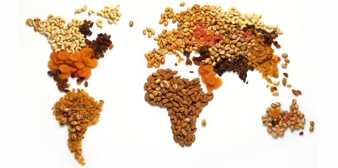 Setton Farm Plantain Chips with Sea Salt 7 Oz. Bag - Collins Global Snack Store