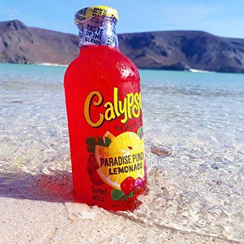 Calypso Lemonades | Made with Real Fruit and Natural Flavors | Original Lemonade, 16 Fl Oz (Pack of 12) - Collins Global Snack Store