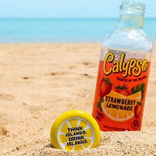 Calypso Lemonades | Made with Real Fruit and Natural Flavors | Original Lemonade, 16 Fl Oz (Pack of 12) - Collins Global Snack Store