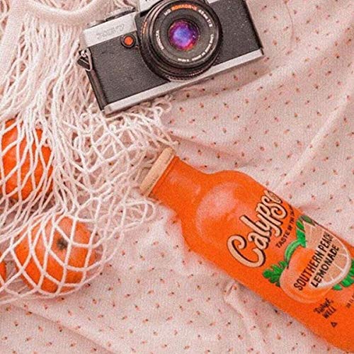 Calypso Lemonades | Made with Real Fruit and Natural Flavors | Original Lemonade, 16 Fl Oz (Pack of 12) - Collins Global Snack Store