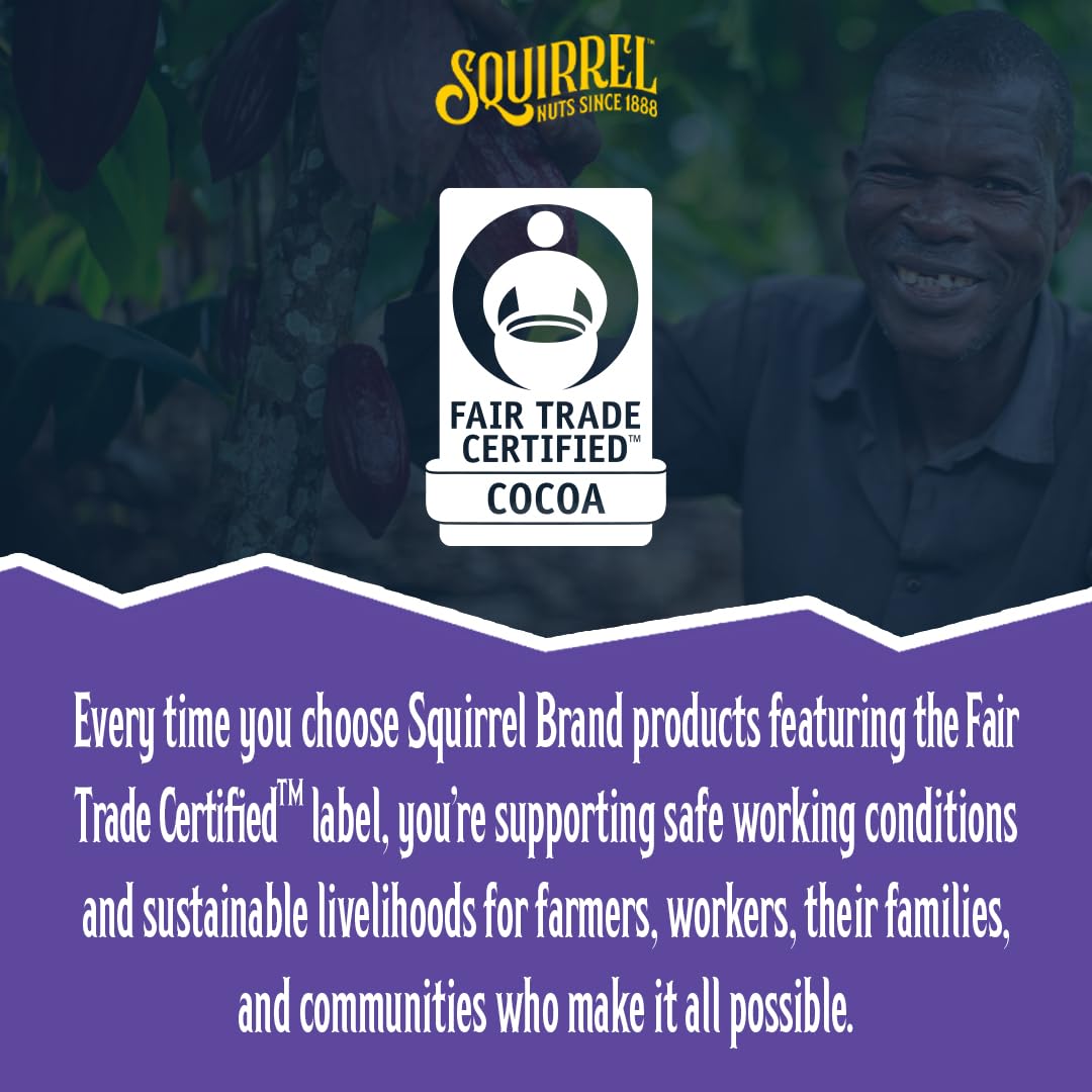 Squirrel Brand Sweet Brown Butter Cashews, 3.5 Ounces Resealable Bag, Gluten Free, Vegetarian - Collins Global Snack Store