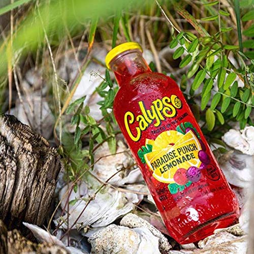 Calypso Lemonades | Made with Real Fruit and Natural Flavors | Original Lemonade, 16 Fl Oz (Pack of 12) - Collins Global Snack Store