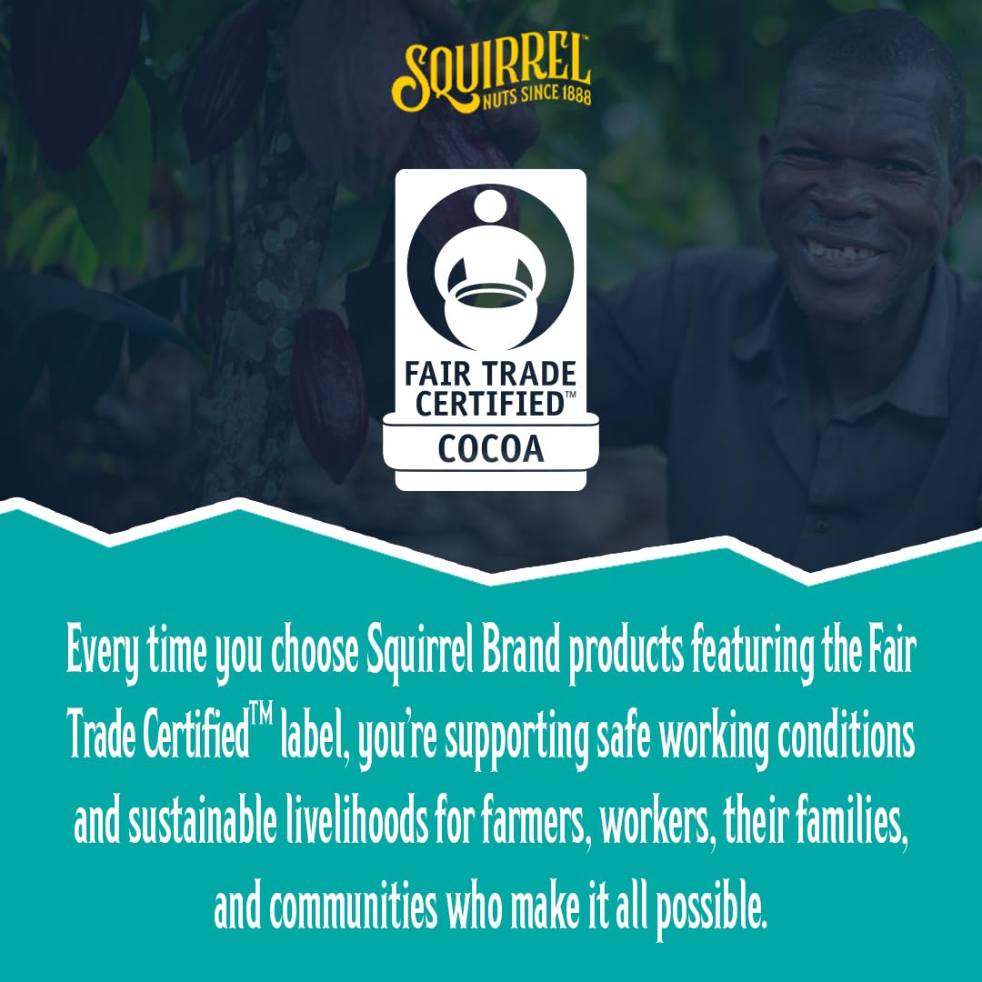 Squirrel Brand Sweet Brown Butter Cashews, 3.5 Ounces Resealable Bag, Gluten Free, Vegetarian - Collins Global Snack Store