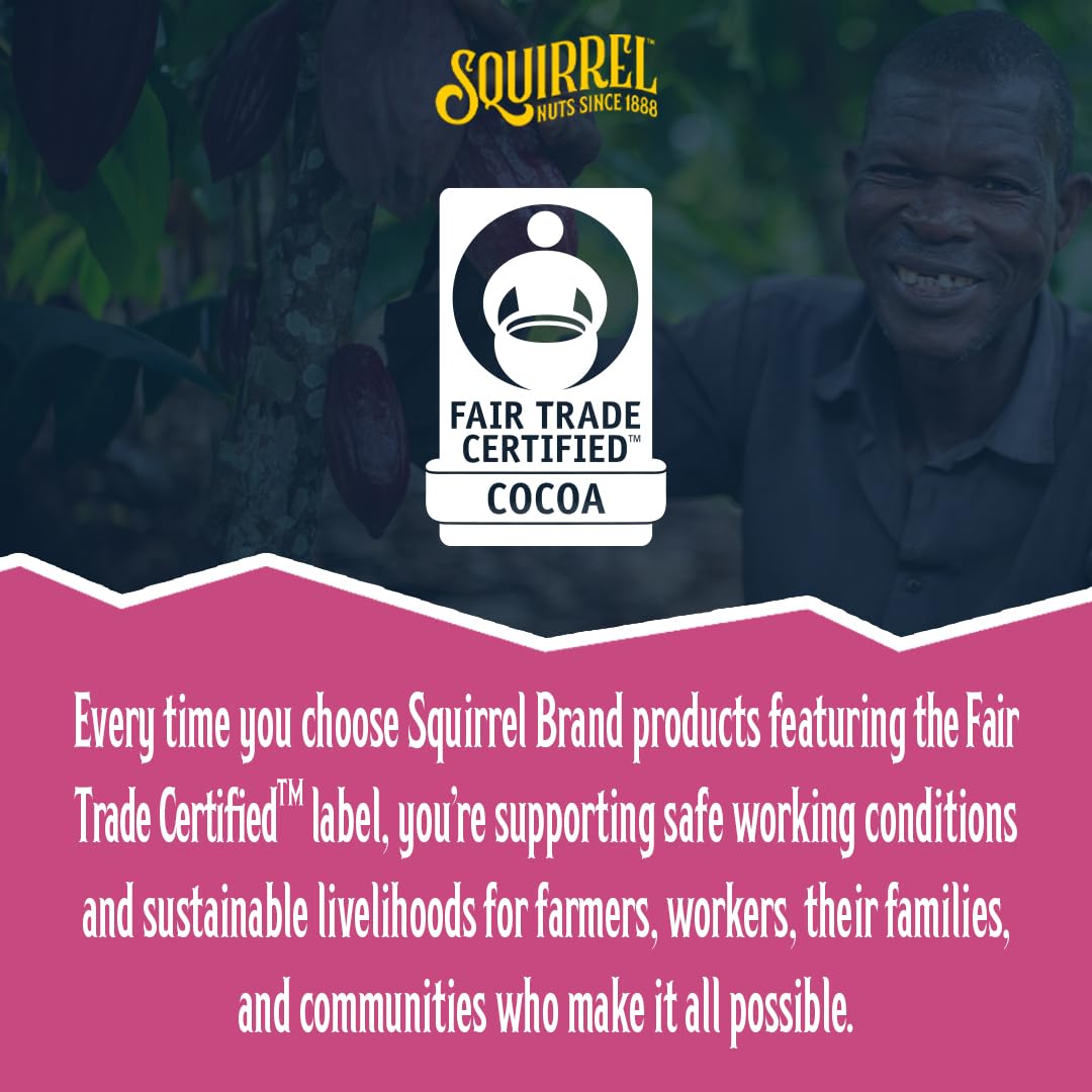 Squirrel Brand Sweet Brown Butter Cashews, 3.5 Ounces Resealable Bag, Gluten Free, Vegetarian - Collins Global Snack Store