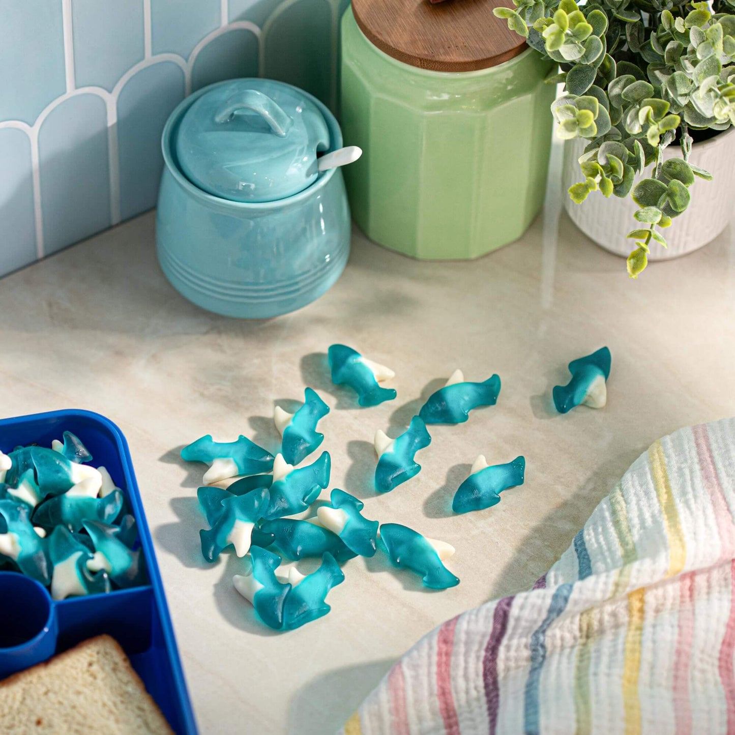 Albanese World's Best Gummi Rainforest Frogs, 5lbs of Candy - Collins Global Snack Store