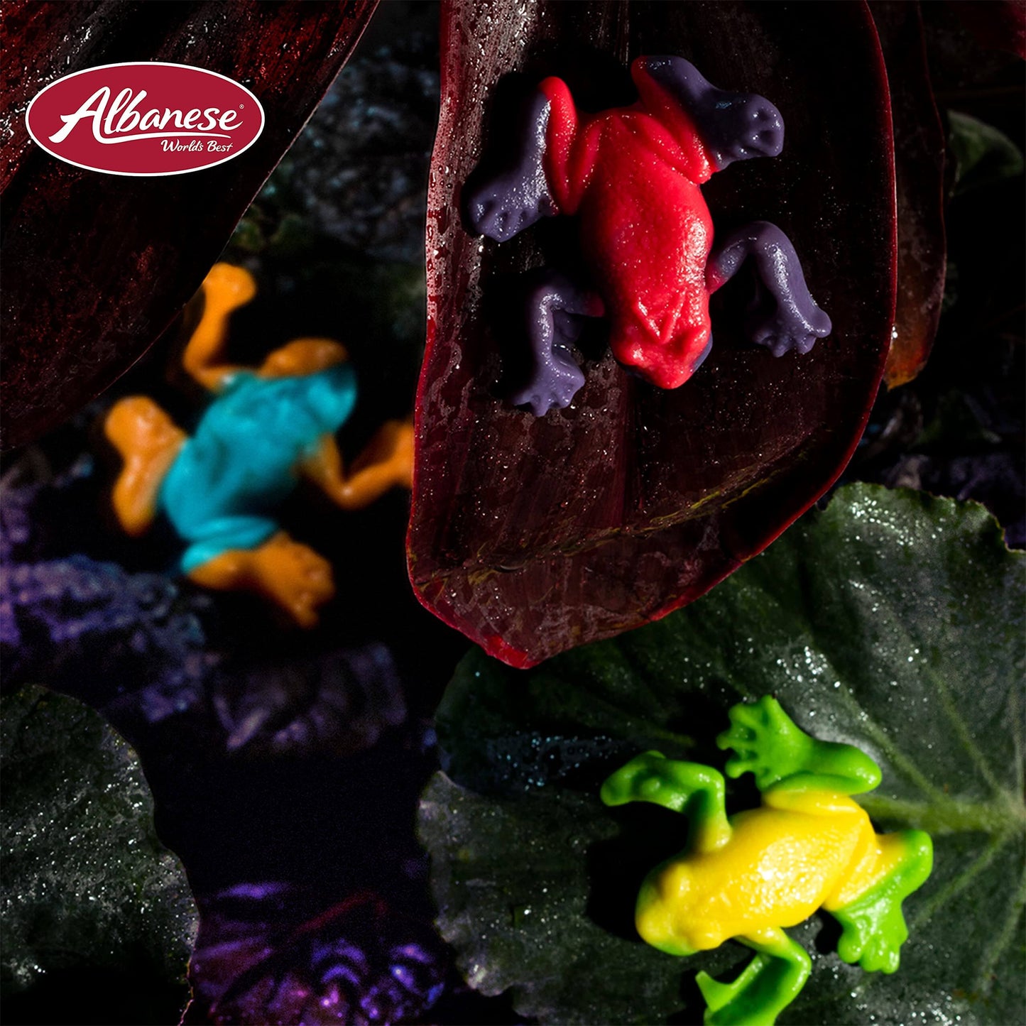 Albanese World's Best Gummi Rainforest Frogs, 5lbs of Candy - Collins Global Snack Store