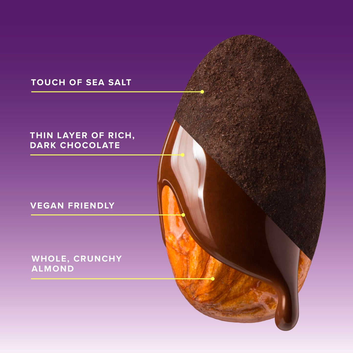 SkinnyDipped Snack Attack Minis Almond Variety Pack, Healthy Snack, Plant Protein, Gluten Free, 0.46 oz Mini Bags, Pack of 25 - Collins Global Snack Store