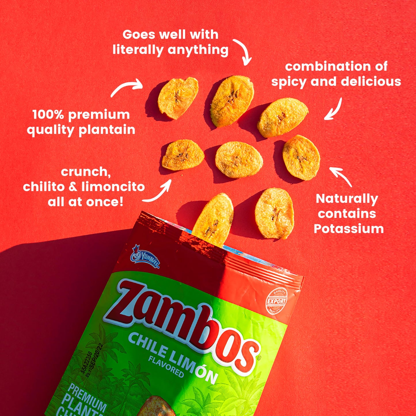 Zambos Plantain Chips Chile Limon (Pack of 1) - Collins Global Snack Store