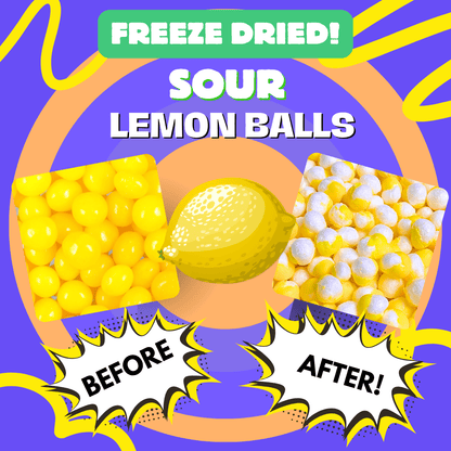 Freeze Dried Lemon Balls - Candy Snack | Yum Yum Candy Shop